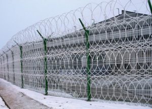 МАХАОН-Стандарт МП