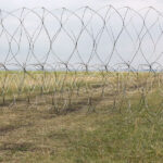 БРЗ-АКЛ. ЦеСИС НИКИРЭТ