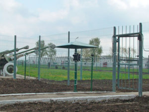 Грибок постовой