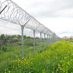 Армированная колючая лента (АКЛ) спирального типа (объёмная АКЛ). ЦеСИС НИКИРЭТ